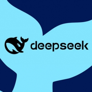 王维嘉：DeepSeek 尚不敷以撼动中美 AI 差距格局
