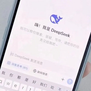 DeepSeek“小力出古迹”，掀起AI应用高潮