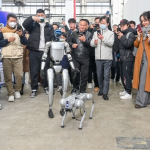 AI上海气力崛起背后：创新生态全要素结构 怎样再进一步 ...