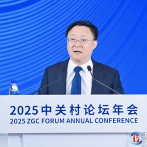 科技赋能，科大讯飞刘庆峰详解 AI 助残｜聚焦中关村论坛 ...