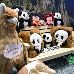 【中国那些事儿】中国践行环球发展倡议 进博会助力发展中国家中小企业走向 ...