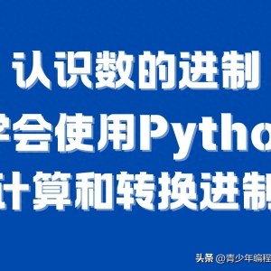 一文搞懂二、八、十、十六进制：从手动盘算到Python实战 ...