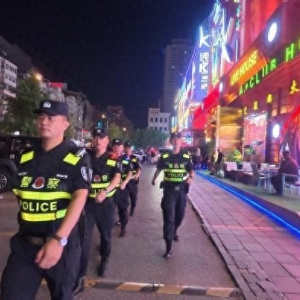 抓获犯罪怀疑人126人！大连在全市范围内开展同一清查整治举措 ...