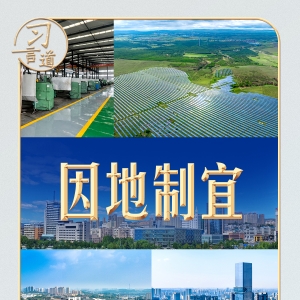 习言道 | 切忌“捡进篮子都是菜”，习近平的告诫有深意 ...