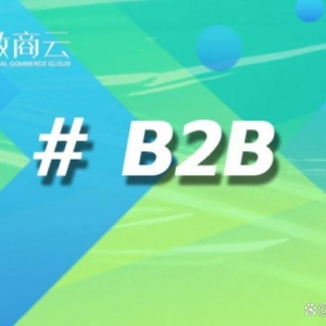 B2B平台源码提供商：解码2025年财产互联网技能架构与贸易趋势 ...