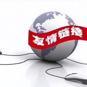 为赌博网站做推广，这几名站长栽了