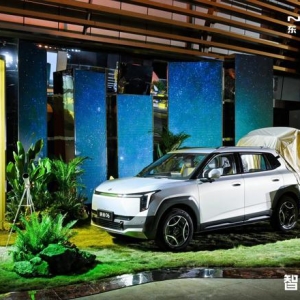 元UP、海豚的最强对手来了，东风纳米06预售8.99万元起 ...