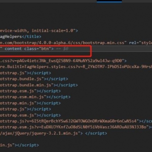 ASP.NET Core 内置的Tag Helpers