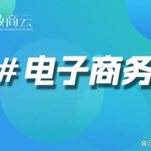 数商云Java电商体系源码：重构B2B生态的技能基座与贸易引擎 ...