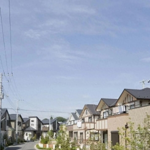 没本心的弟弟害得姐姐身无分文，今后姐姐过着悲苦生存（上） ...