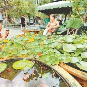 街景连续上新 游客打卡不停