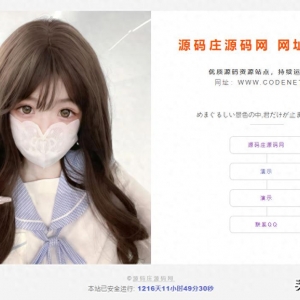 最新简约雅观的网址网站引导页HTML源码