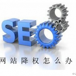 网站被降权怎么办