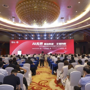 聚焦数博会：当AI赋能管理创新 擦出哪些“数智”火花？ ...