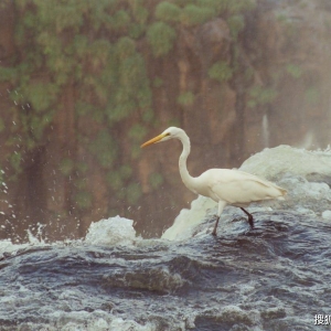 星星传授安格斯2025年9月星座运势