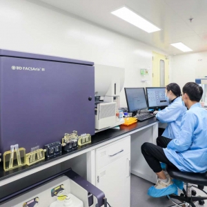 北京昌平积极结构建立脑机接口财产发展集聚地