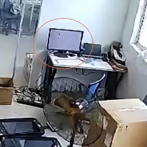 上海女子接完电话慌了，赶紧报警！监控显示：桌上电脑竟被“透明人”操作 ...