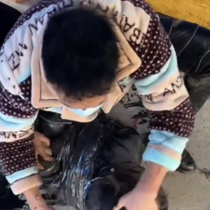 男子捆绑女子后泼墨殴打引众怒 警方通报：网红拍摄“受罚”视频，涉事7人被 ...