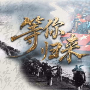 等你归来
