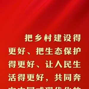 总书记的人民情怀丨“以加速农业农村当代化更好推进中国式当代化建立” ...